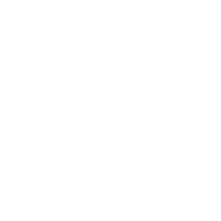 OR Logo White on White